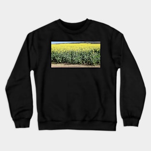 Canola Crop Crewneck Sweatshirt